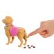 Набір Barbie Прогулянка з песиком JJB46