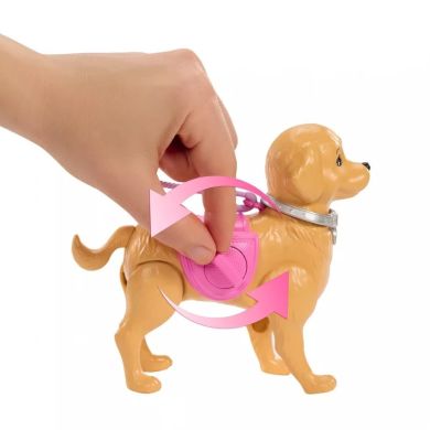 Набір Barbie Прогулянка з песиком JJB46