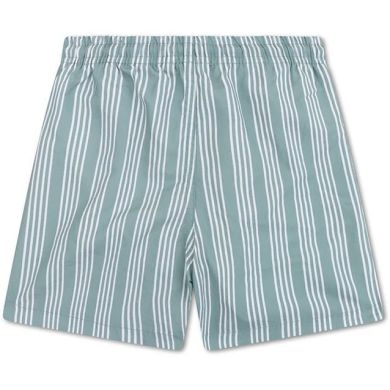 Плавки-шорти Resort Смужки 110/116 Swim Essentials 2024SE1512