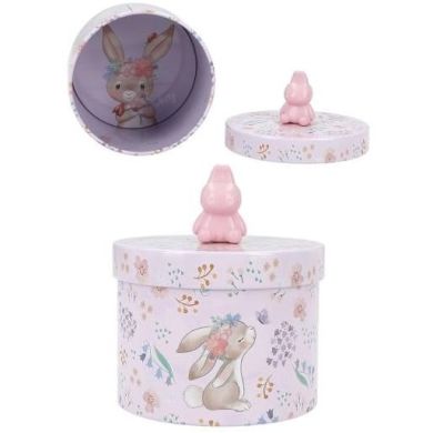 Скринька з Кроликом Princess Mimi 0412504