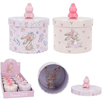 Скринька з Кроликом Princess Mimi 0412504