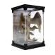 Cтатуетка Тандерберда The Noble Collection NN5260