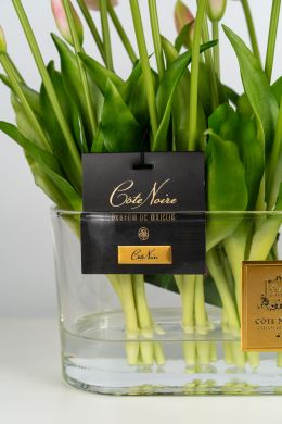 Аромат для приміщень Рожеві тюльпани овальна ваза Cote noire OT02