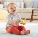 Брязкальце Fisher-Price Чудо-звірі в асортименті GJW22, Різнокольоровий