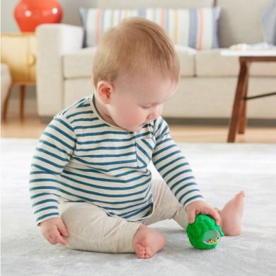 Брязкальце Fisher-Price Чудо-звірі в асортименті GJW22, Різнокольоровий