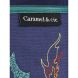 Шкільний портфель Дракон Caramel cartmini018