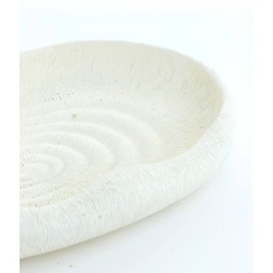 Тарелка 37x25x5 см ALAINA, белая Light&Living 6357143