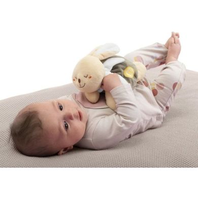 Іграшка м'яка-грілка Тепле зайченя серії My Sweet Dou Dou Chicco 12161.00