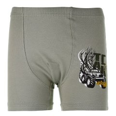 Боксери дитячі Doni 6/7 в асортименті 7571WBT