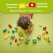 Конструктор Творчий сад і квіти LEGO DUPLO Town 10444